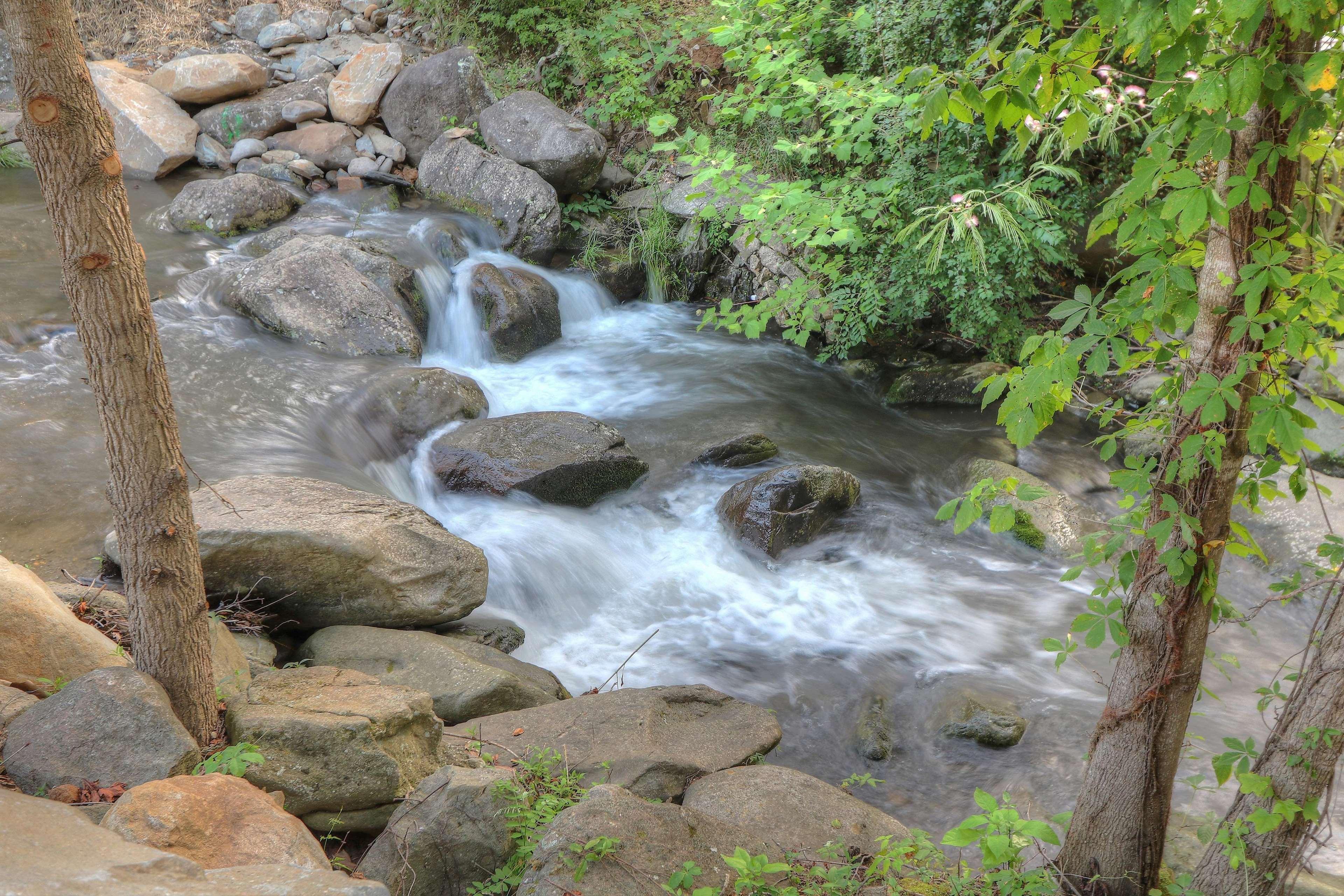 Hampton Inn Gatlinburg Historic Nature Trail, Tn Exteriér fotografie